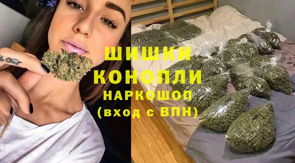 spice Арсеньев