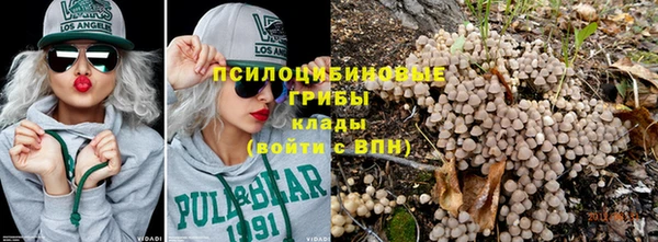 крисы Алексеевка