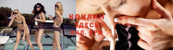 крисы Алексеевка