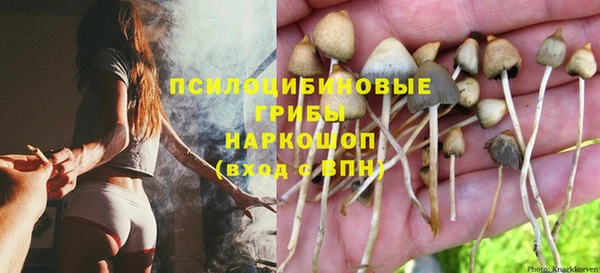 дживик Алексин