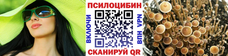 Псилоцибиновые грибы Cubensis  Куйбышев 