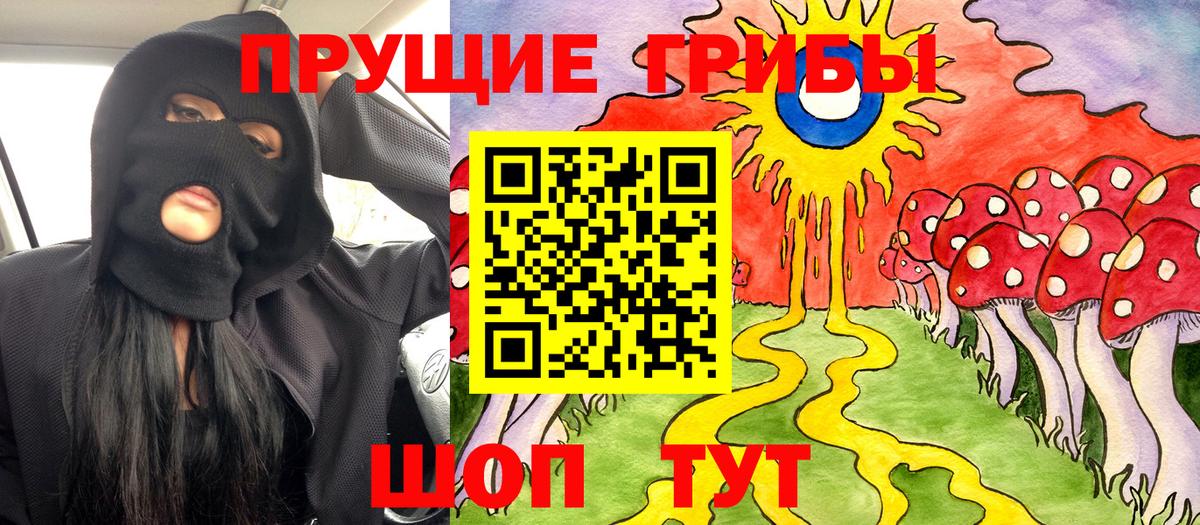 сколько стоит  Галлюциногенные грибы MAGIC MUSHROOMS  Вход с VPN  Куйбышев 