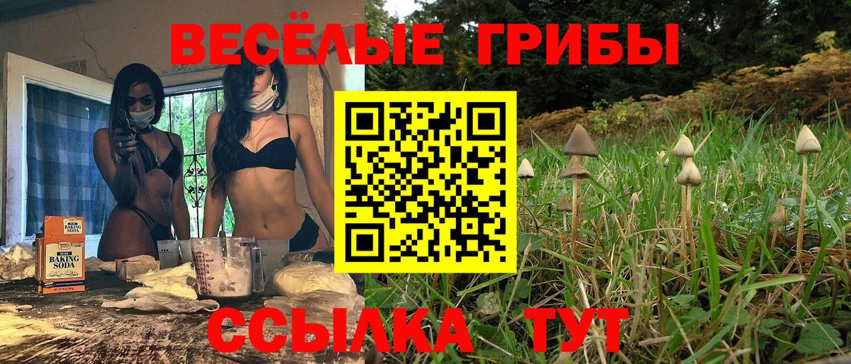 Галлюциногенные грибы мухоморы Куйбышев