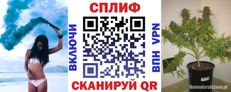 площадка Telegram Куйбышев Каннабис план